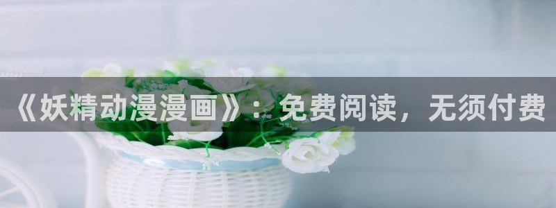 age动漫站下载：《妖精动漫漫画》：免费阅读，无须付费配图