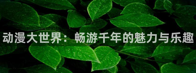 age肉动漫下载：动漫大世界：畅游千年的魅力与乐趣配图
