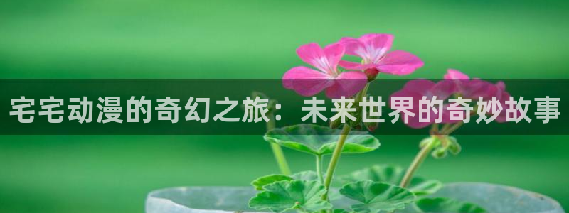 age 动漫下载官方:宅宅动漫的奇幻之旅:未来世界的奇妙故事配图