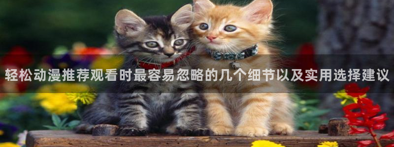 age动漫最新下载:轻松动漫推荐观看时最容易忽略的几个细节以及实用选择建议配图