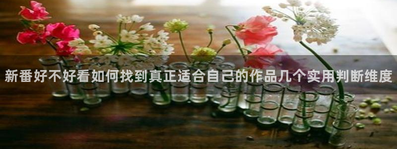 age 动漫下载地址:新番好不好看如何找到真正适合自己的作品几个实用判断维度配图