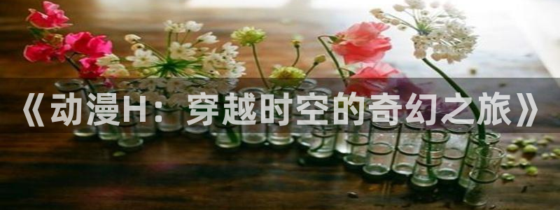 age动漫 下载:《动漫H:穿越时空的奇幻之旅》配图